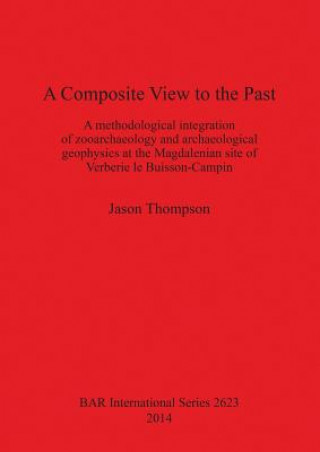 Book Composite View to the Past Jason Thompson