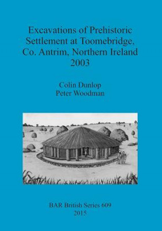 Kniha Excavations of Prehistoric Settlement at Toomebridge Co. Antrim Northern Ireland 2003 Colin Dunlop