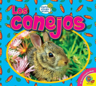 Libro Los Conejos Heather Kissock