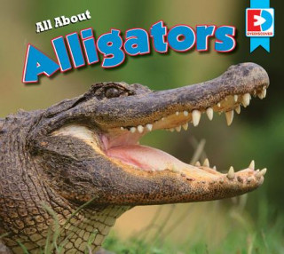 Könyv All about Alligators Katie Gillespie