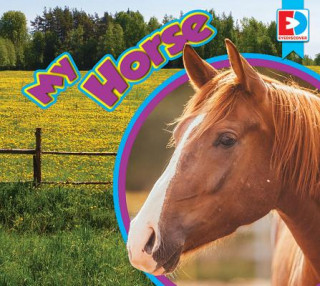 Knjiga My Horse Katie Gillespie