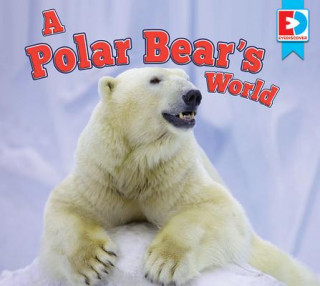 Kniha A Polar Bear's World Katie Gillespie