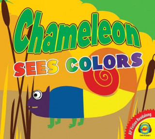 Kniha Chameleon Sees Colors Anita Bijsterbosch