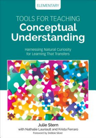 Książka Tools for Teaching Conceptual Understanding, Elementary Julie Stern