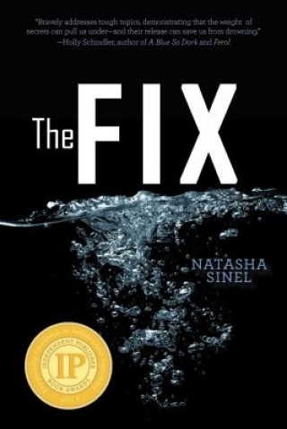 Kniha The Fix Natasha Sinelb