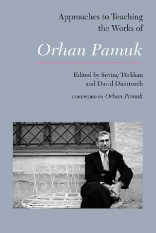 Kniha Approaches to Teaching the Works of Orhan Pamuk Sevinc Turkkan