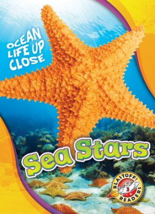 Carte SEA STARS Rebecca Pettiford