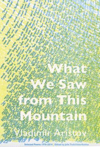 Book What We Saw from This Mountain Vladimir Aristov