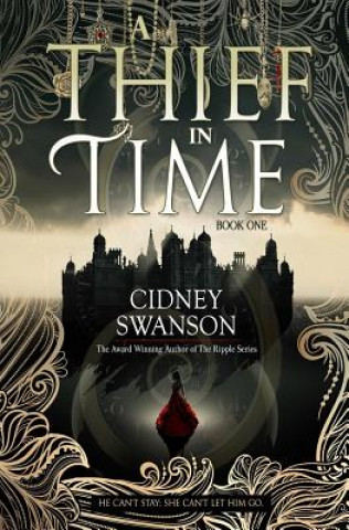 Kniha Thief in Time Cidney Swanson