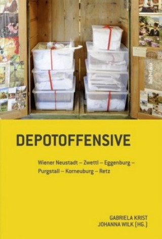 Kniha Depotoffensive Gabriela Krist