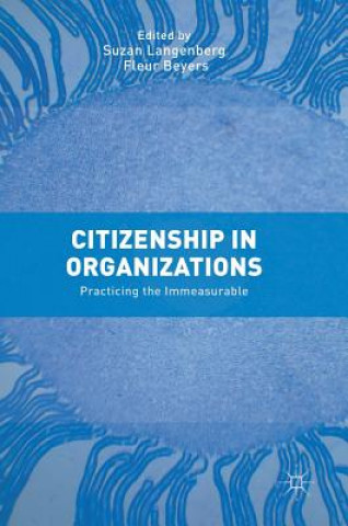 Kniha Citizenship in Organizations Suzan Langenberg
