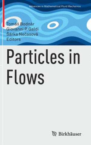 Könyv Particles in Flows TomáS Bodnár