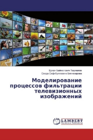 Könyv Modelirovanie processov fil'tracii televizionnyh izobrazhenij Erzhan Bajmatovich Tashmanov