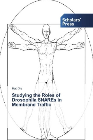 Könyv Studying the Roles of Drosophila SNAREs in Membrane Traffic Hao Xu