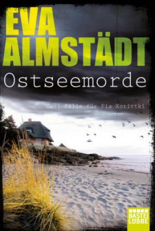 Kniha Ostseemorde Eva Almstädt