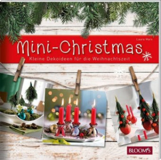 Könyv Mini-Christmas Laura Marx