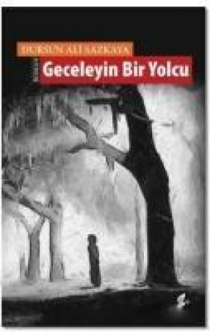 Livre Geceleyin Bir Yolcu Dursun Ali Sazkaya