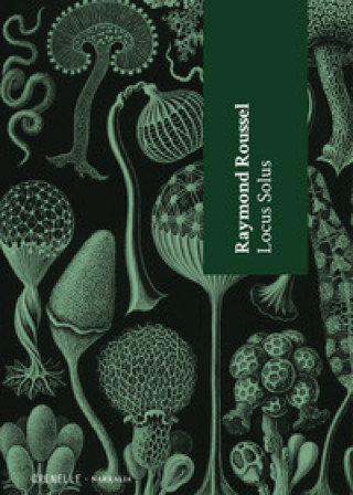 Книга Locus solus Raymond Roussel