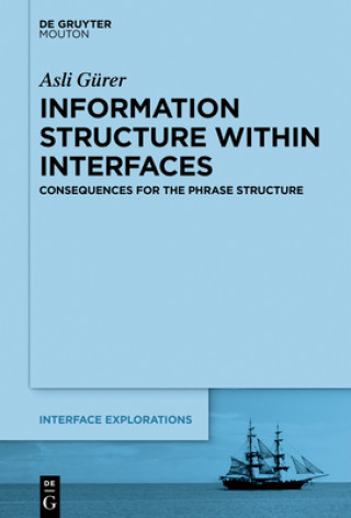 Książka Information Structure Within Interfaces Asli Gürer