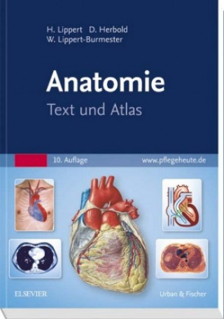 Kniha Anatomie Herbert Lippert