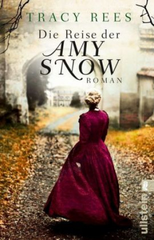 Kniha Die Reise der Amy Snow Tracy Rees