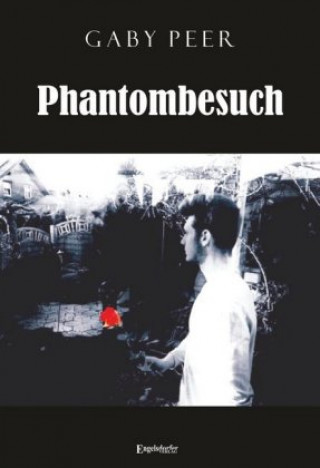 Knjiga Phantombesuch Gaby Peer
