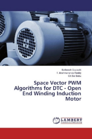 Buch Space Vector PWM Algorithms for DTC - Open End Winding Induction Motor Satheesh Gopisetti