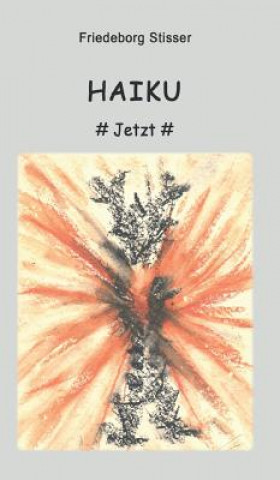 Knjiga Haiku Friedeborg Stisser
