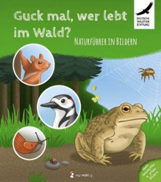 Könyv Guck mal, wer lebt im Wald? Naturführer in Bildern Stefanie Neumann