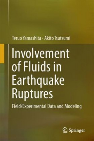 Buch Involvement of Fluids in Earthquake Ruptures Teruo Yamashita