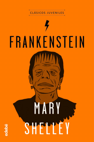 Buch FRANKENSTEIN MARY SHELLEY