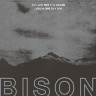 Audio You Are Not The Ocean You Are The Patient Bison