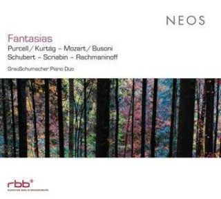 Zvok Fantasien Grauschumacher Piano Duo