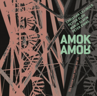 Zvok Amok Amor Lillinger/Eldh/Slavin/Evans