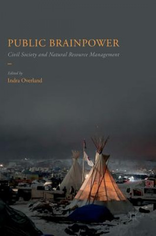 Kniha Public Brainpower Indra Overland