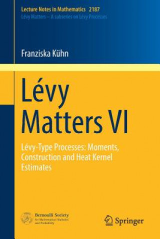 Kniha Levy Matters VI Franziska Kühn