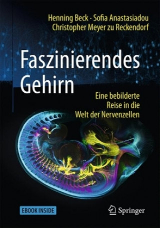 Carte Faszinierendes Gehirn, m. 1 Buch, m. 1 E-Book Henning Beck