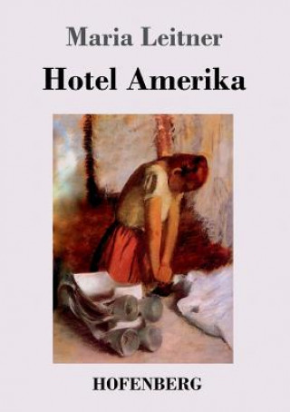 Książka Hotel Amerika Maria Leitner