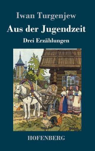 Buch Aus der Jugendzeit Iwan Turgenjew