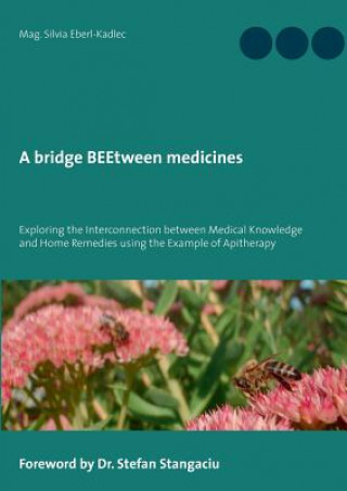 Kniha bridge BEEtween medicines Silvia Eberl-Kadlec