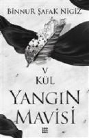 Könyv Kül Binnur Nigiz