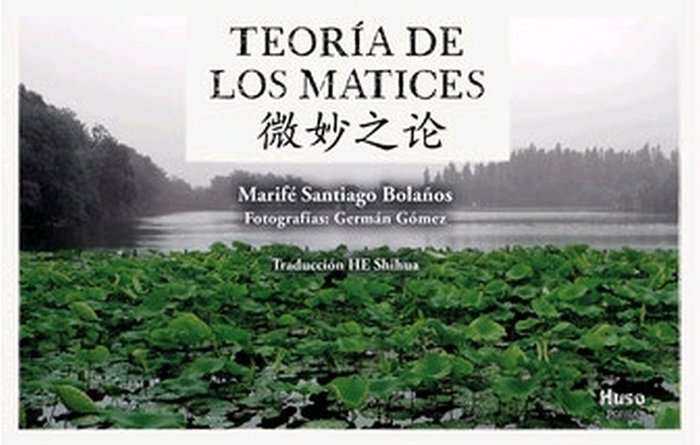 Könyv Teoría de los Matices 