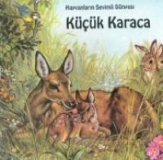 Knjiga Kücük Karaca Marie Duval