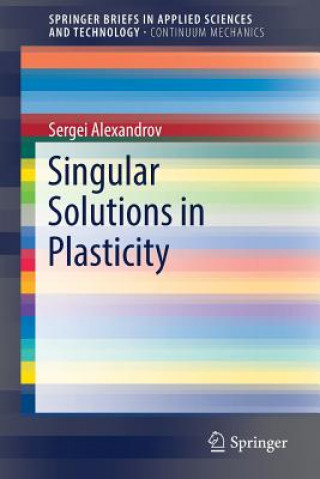 Buch Singular Solutions in Plasticity Sergei Alexandrov