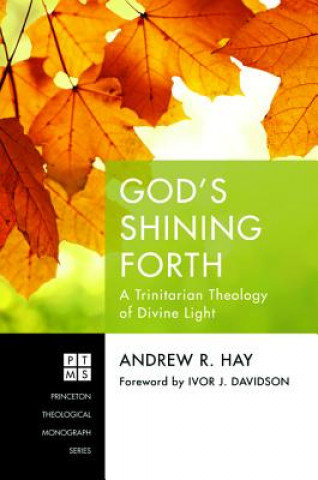 Könyv God's Shining Forth Andrew R. Hay