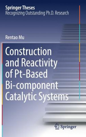 Könyv Construction and Reactivity of Pt-Based Bi-component Catalytic Systems Rentao Mu