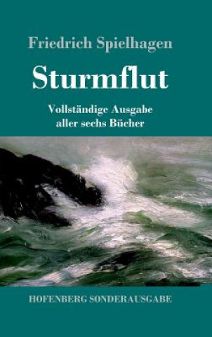 Boek Sturmflut Friedrich Spielhagen