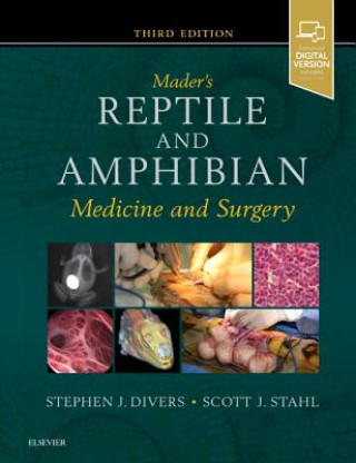 Könyv Mader's Reptile and Amphibian Medicine and Surgery Stephen J. Divers
