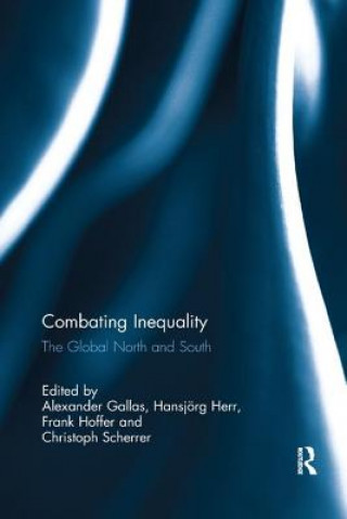 Buch Combating Inequality Alexander Gallas