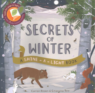 Kniha Shine a Light: Secrets of Winter Carron Brown